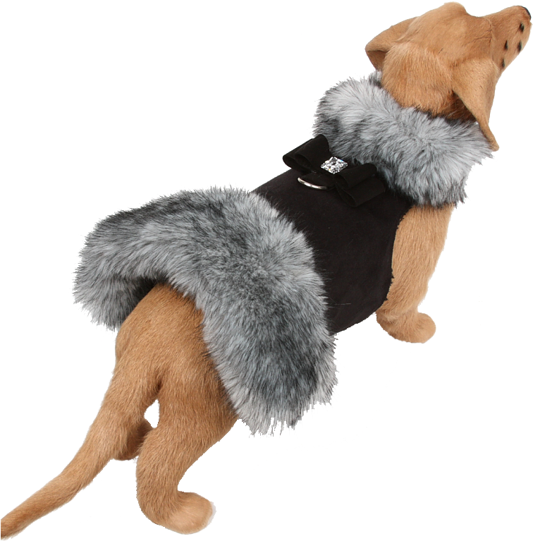 Fur Dog Coat Clipart Large Size Png Image PikPng