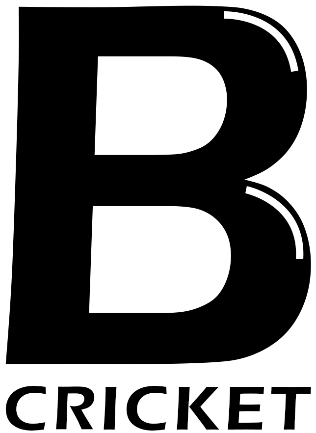 B Cricket - Graphics Clipart (1382x1365), Png Download
