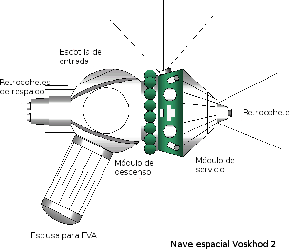 Voskhod Spacecraft Diagram Es - Voskhod 2 Clipart (625x565), Png Download