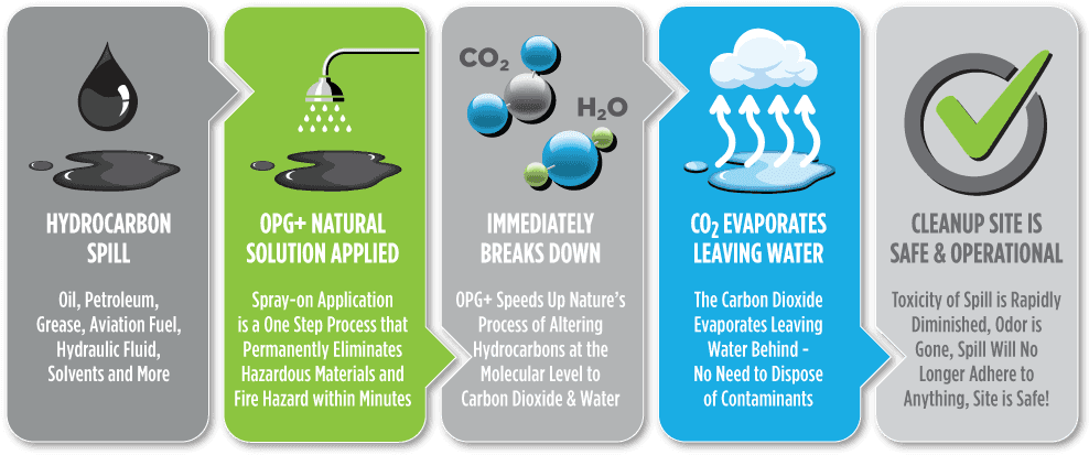 Clip Art - Png Download (1000x423), Png Download