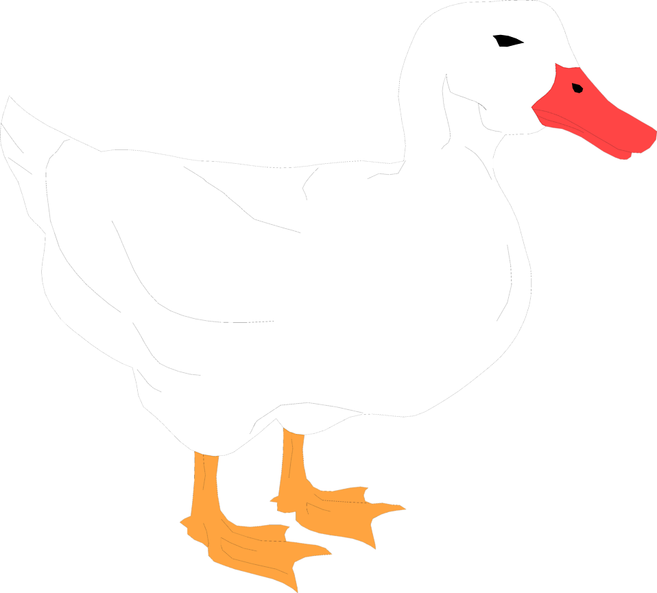 White Duck Clipart Transparent - Png Download (958x865), Png Download