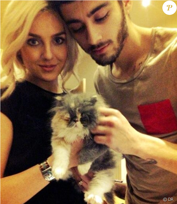 Prada, Le Chat De Perrie Edwards Et Zayn Malik Est - Zayn Malik And Perrie Edwards Cat Clipart (950x711), Png Download
