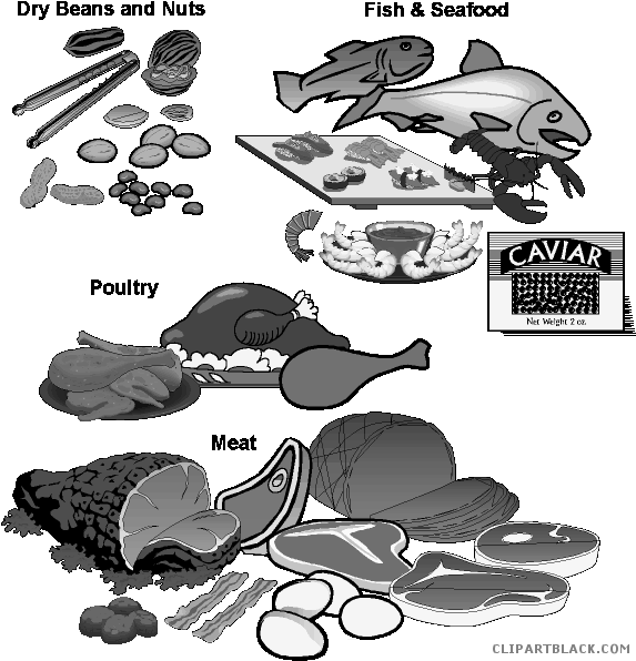 Latest 19 Fish Food Graphic Transparent Library Huge - Basic Food Groups Clipart (579x602), Png Download