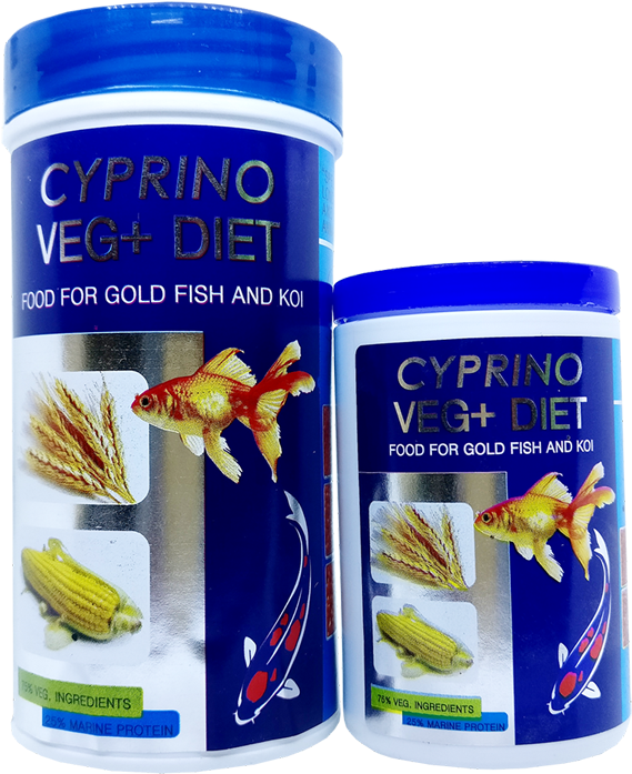 Cyprino Veg Diet - Goldfish Clipart (1000x1000), Png Download
