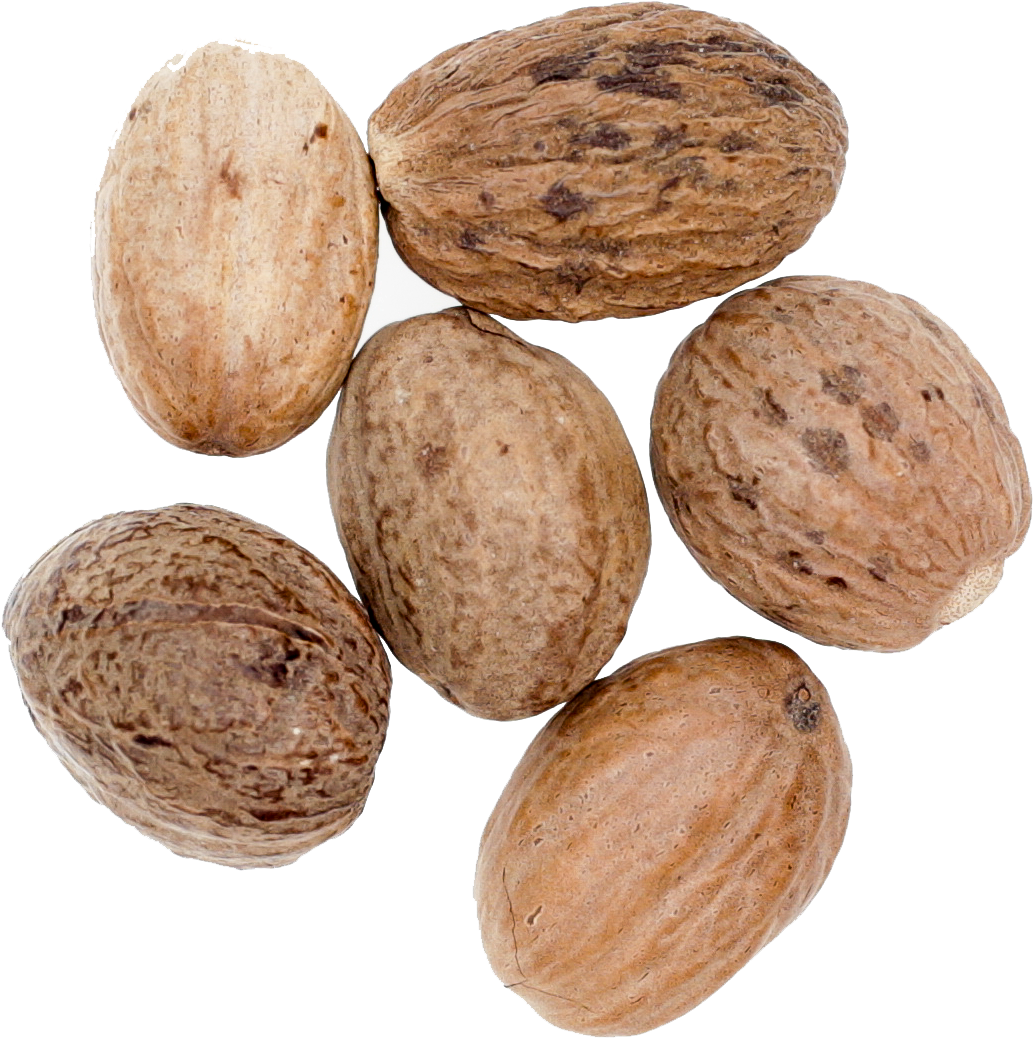 Peanut Clipart (1428x1425), Png Download