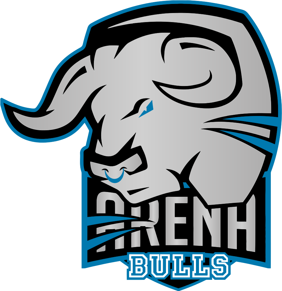 Arena Bulls Logo Png Clipart (960x960), Png Download