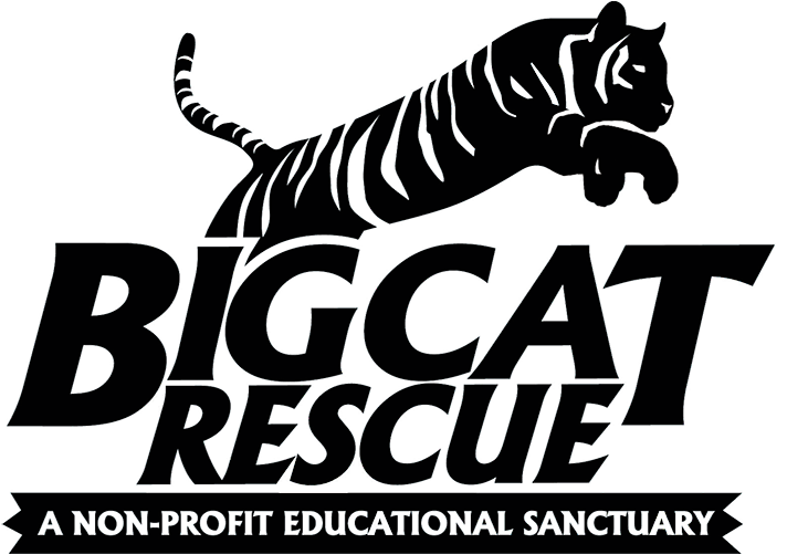 Big Cat Rescue Tampa Logo Clipart (740x500), Png Download