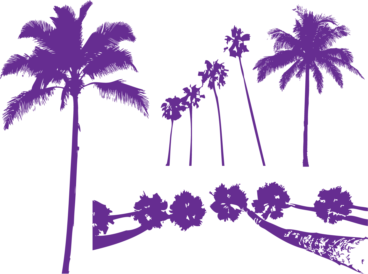 Areca Palm Tree Purple Arecaceae - Palm Trees Clipart (1523x1135), Png Download