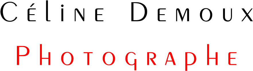 Logo - Colorfulness Clipart (1058x392), Png Download