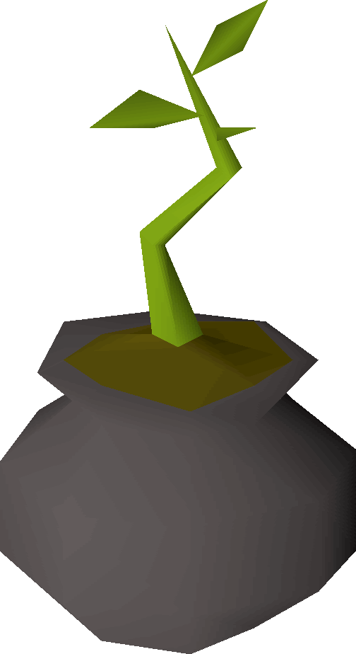 Bagged Plant Osrs Clipart (504x924), Png Download
