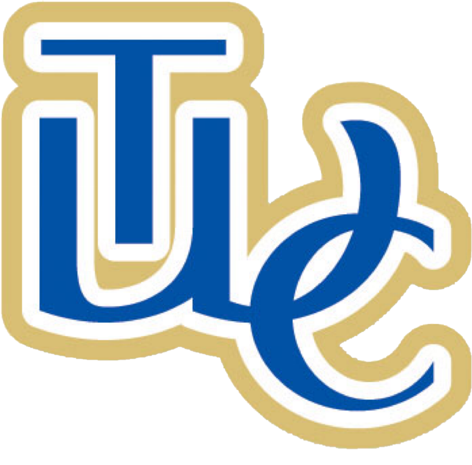 File - Twcbulldogs - Tennessee Wesleyan College Clipart (1024x975), Png Download