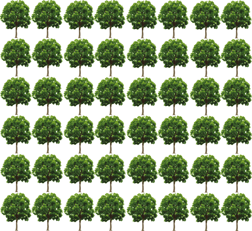 Número De Árboles Talados En La Ciudad De México - Thuya Clipart (1028x941), Png Download