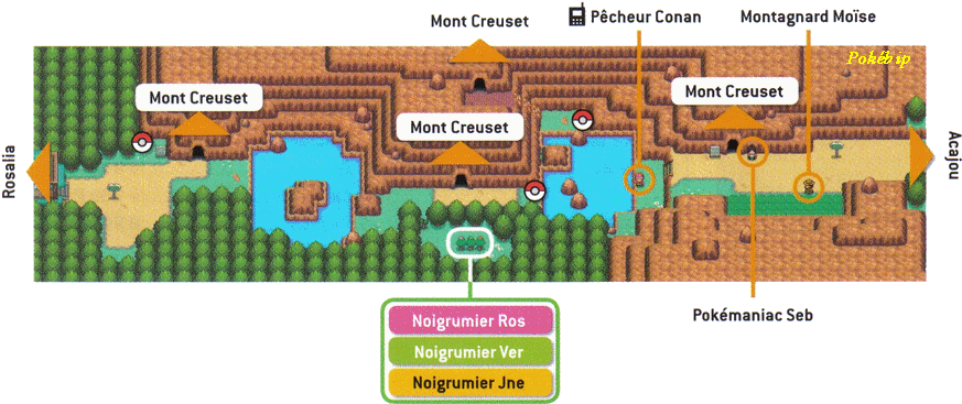 Pokémon Or Heartgold Et Argent Soulsilver > Guide Complet - Pokemon Clipart (900x383), Png Download