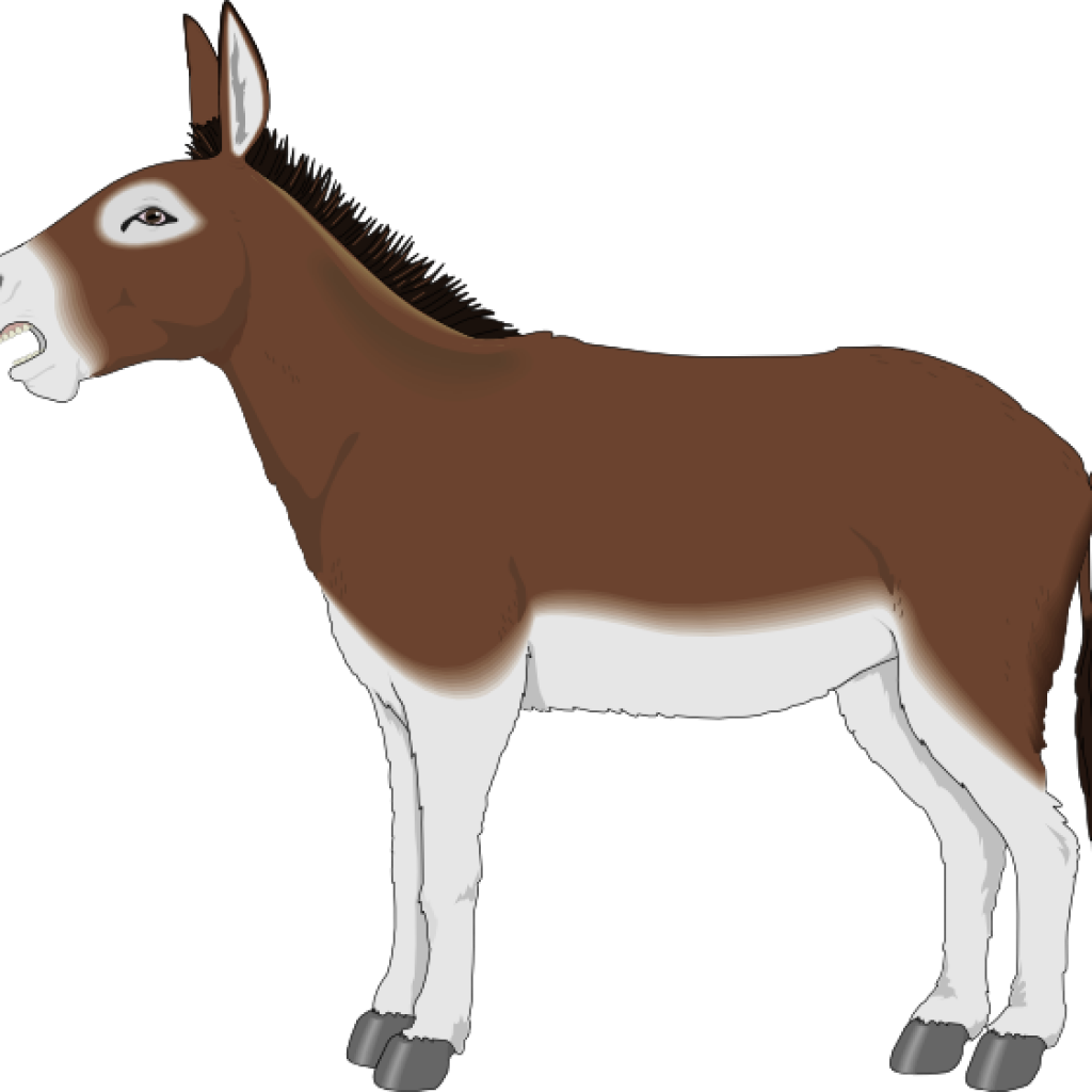 Donkey Clip Art Rose Clipart Hatenylo - Cartoon Donkey Side View - Png Download (1024x1024), Png Download