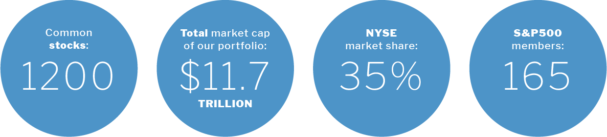 Nyse Dmm Infographic - Circle Clipart (1241x281), Png Download