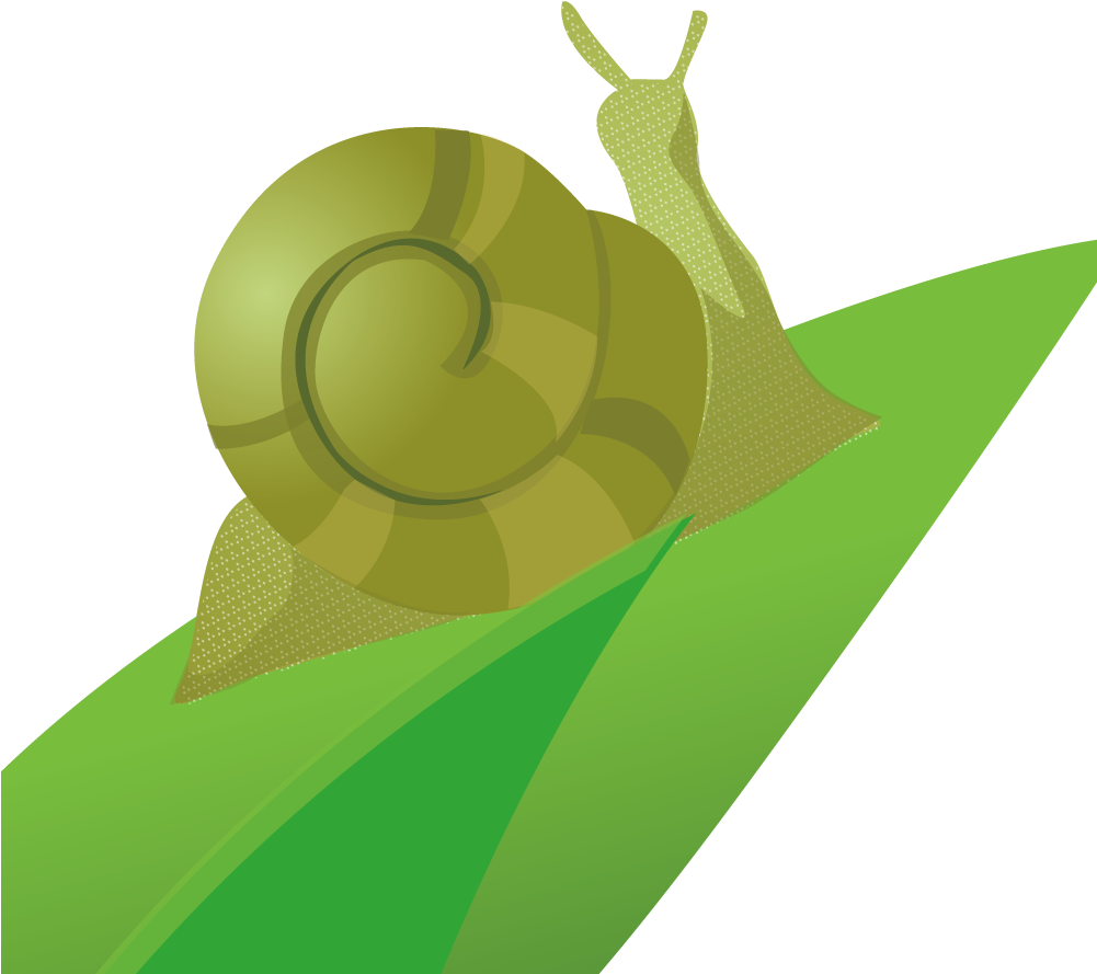 Lymnaeidae Clipart (1000x1000), Png Download