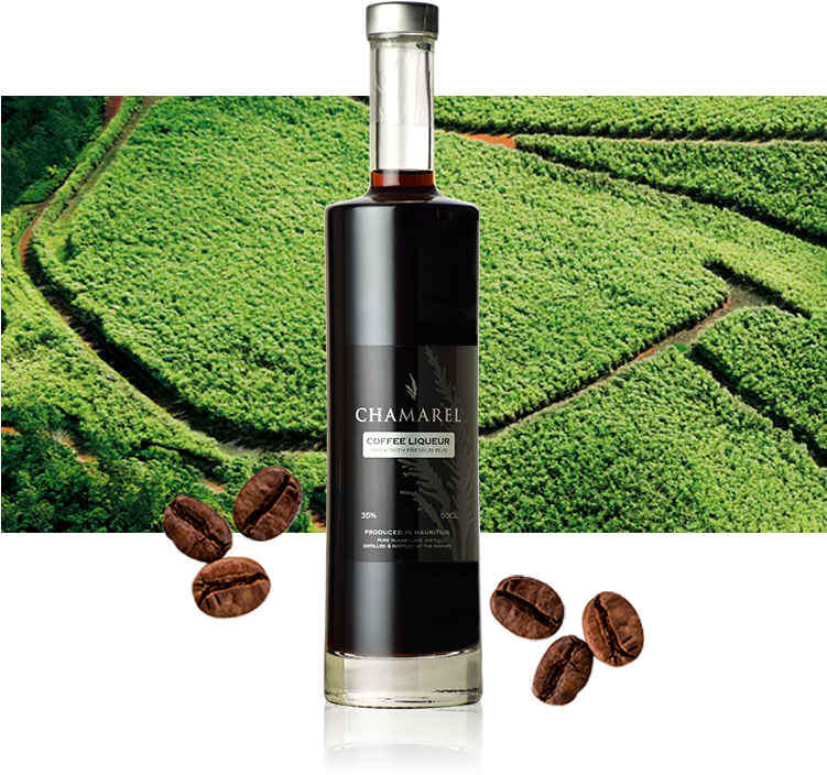 Coffee Bottle Bg - Glass Bottle Clipart (750x733), Png Download