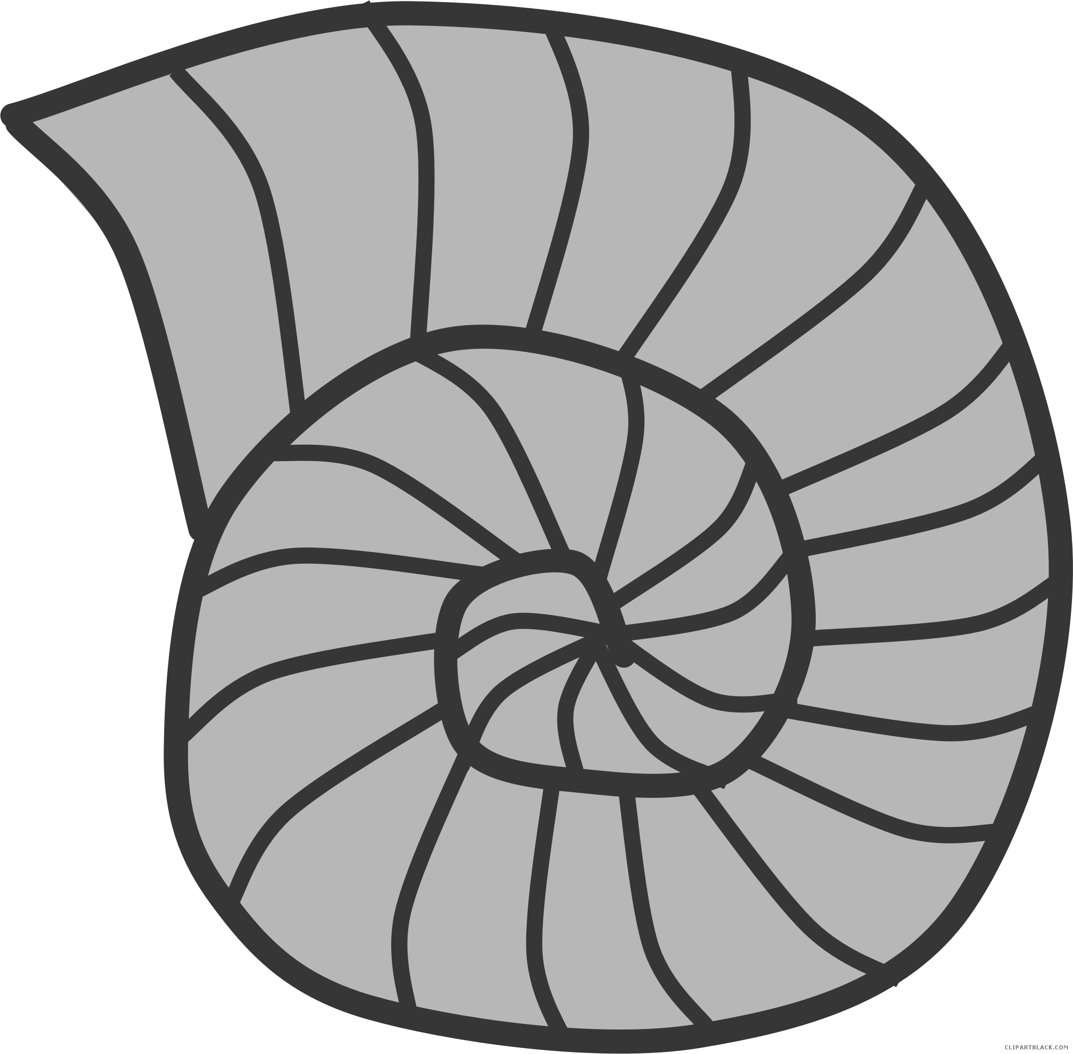 Coloring Clipart Snail - Animal Shell Clipart - Png Download (2098x2062), Png Download