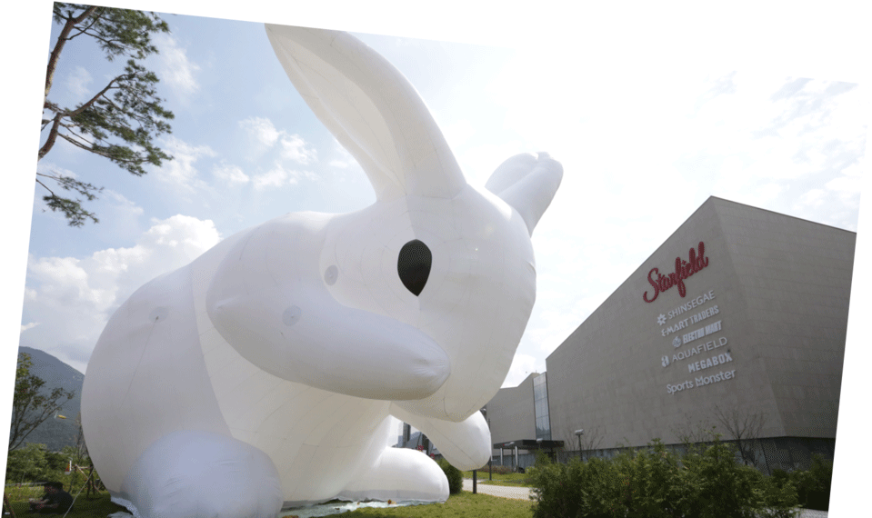 Starfield Hanam Shopping Theme Park Rabbit - Domestic Rabbit Clipart (959x570), Png Download