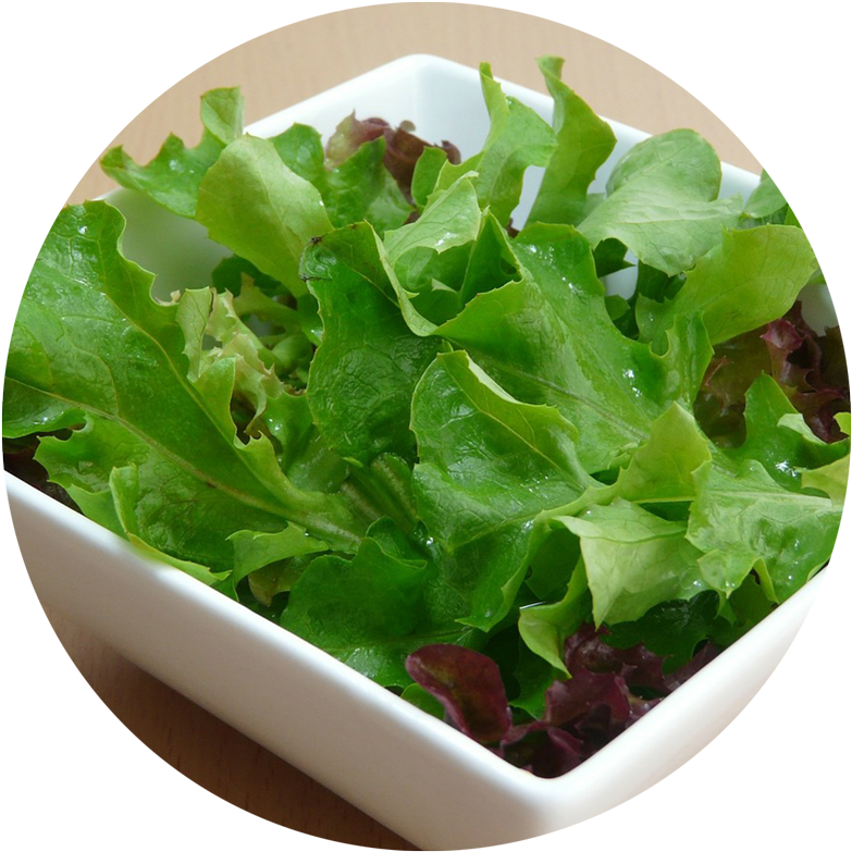 Head Of Lettuce Transparent - Base Of The Salad Clipart (800x800), Png Download