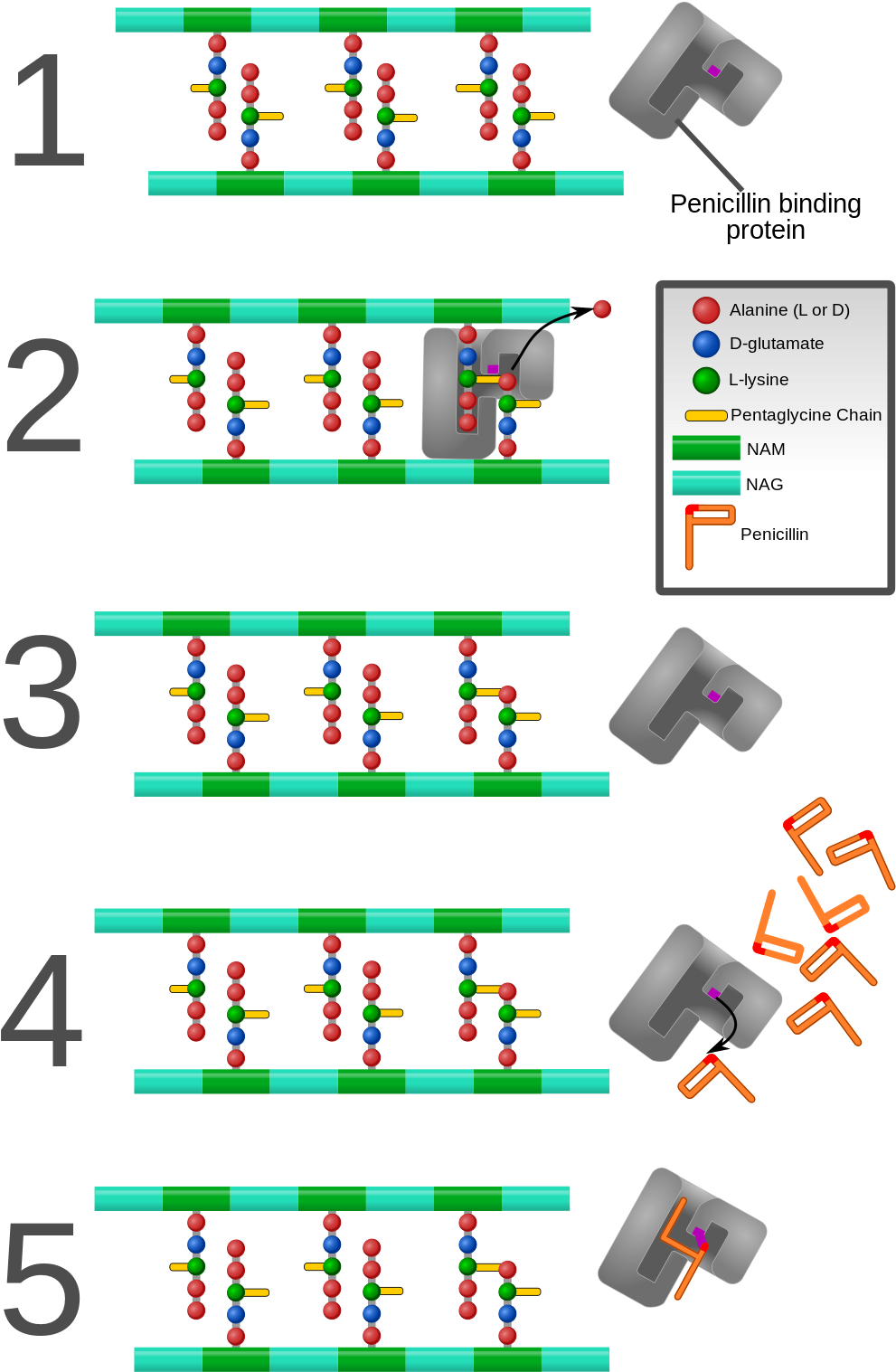 Cc By Sa - Penicillin Binding Protein Cell Wall Clipart (1000x1567), Png Download