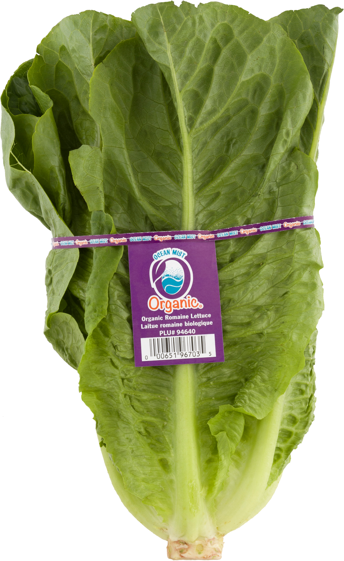 Spinach Clipart (1800x1800), Png Download