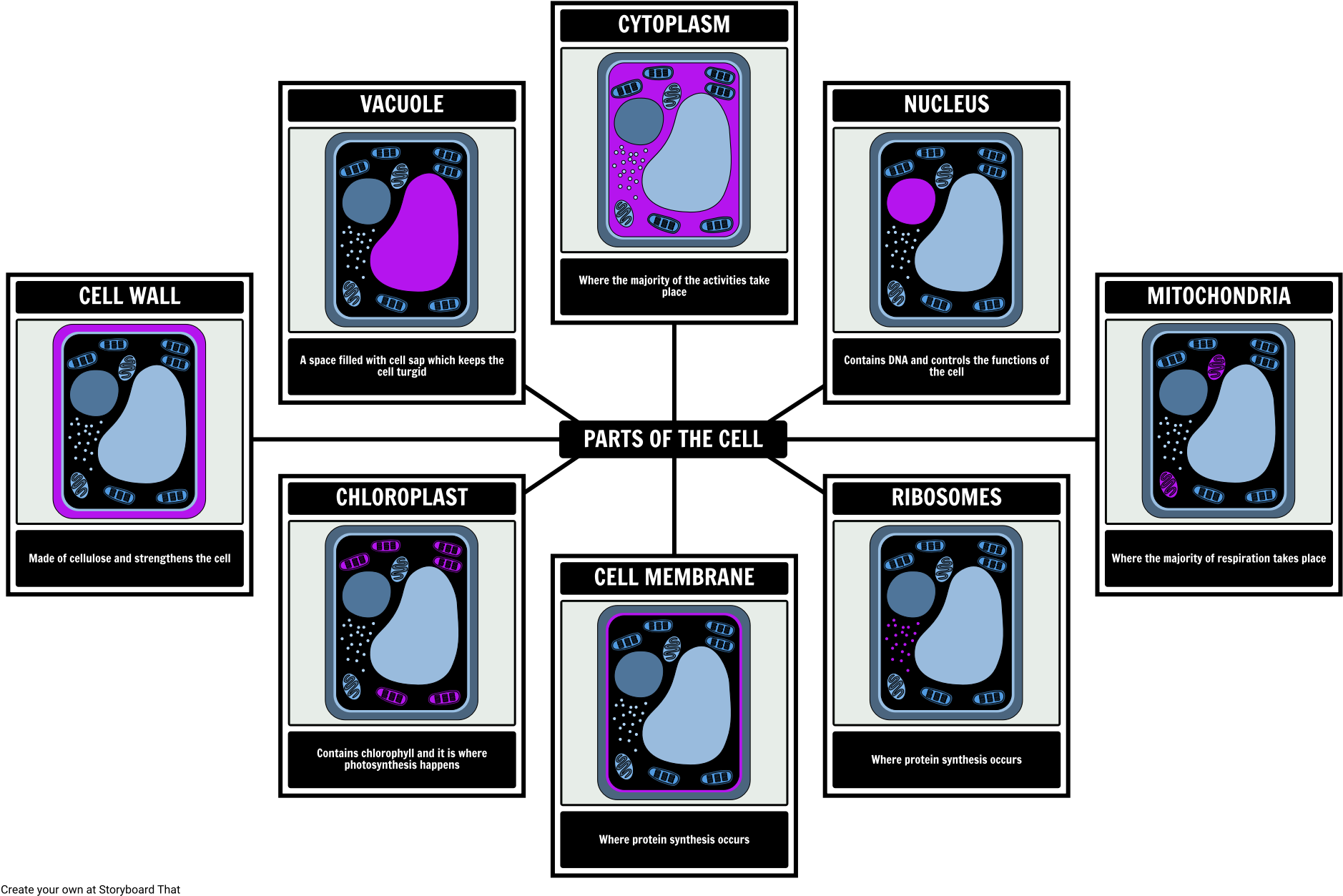 Parts Of A Plant Cell - Plant Cell Clipart (1904x1277), Png Download