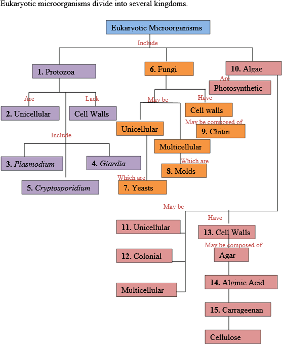 Screenshot Clipart (582x684), Png Download