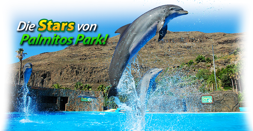 Ppark Slidedelfinessalto Txt Ale Clipart (924x458), Png Download