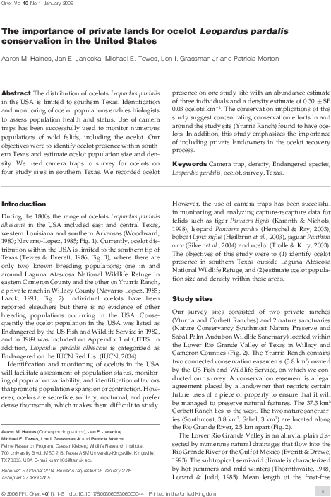 Pdf - Text Page - Holy Land - The Necropolis Clipart (595x794), Png Download