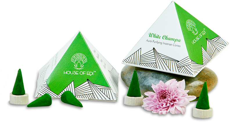 White Champa Cone - Floral Design Clipart (800x800), Png Download