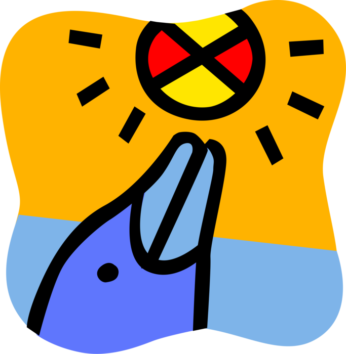 Vector Illustration Of Aquatic Marine Mammal Cetacean Clipart (683x700), Png Download