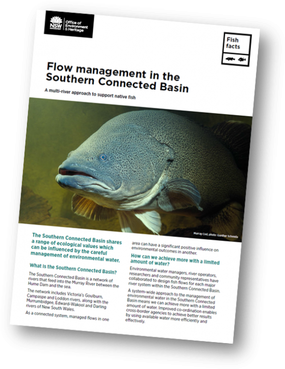 Whale Shark Clipart (600x768), Png Download