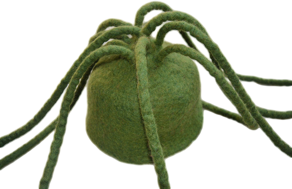 Felt Hat - Insect Clipart (1000x648), Png Download