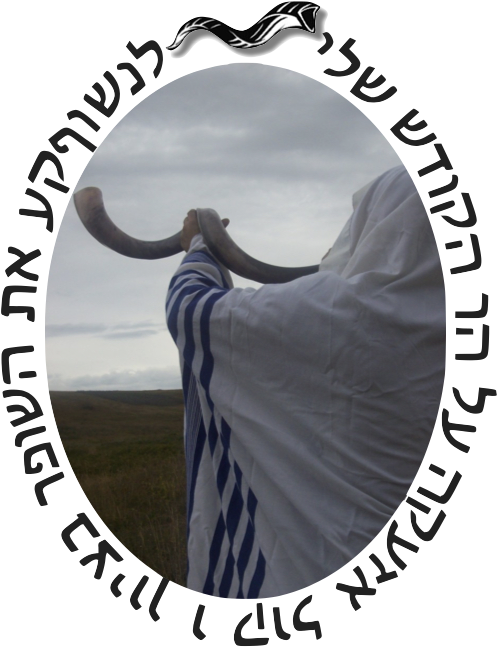 Png Icon Shofar Horn With Oil - Bull Clipart (532x768), Png Download