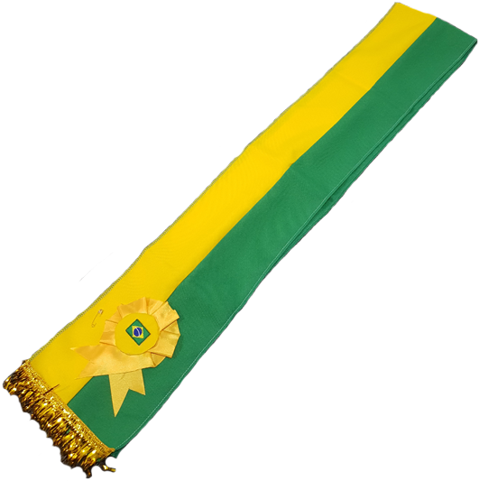 Most Viral Images - Faixa De Presidente Fantasia Clipart (600x600), Png Download