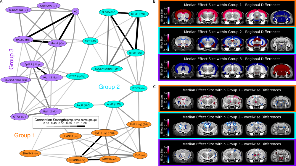 Clustering Of The Autism Models Clustering Of The Models, - Circle Clipart (1000x562), Png Download