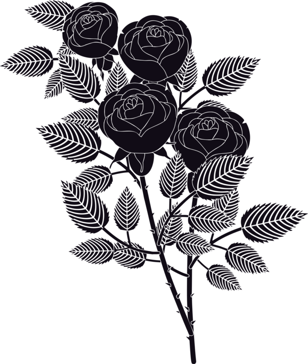 Rose Family Leaf Mother Soap - Garden Roses Clipart (636x750), Png Download