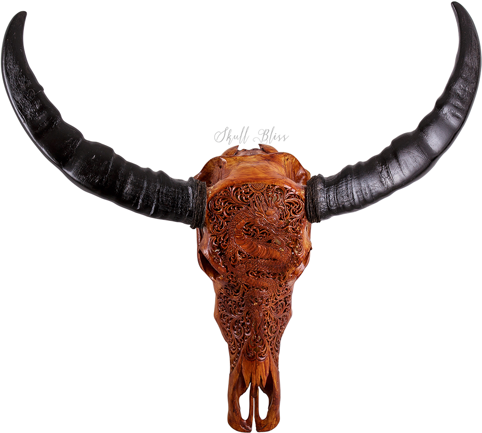Texas Longhorn, Water Buffalo, Horn, Cattle Like Mammal Clipart (1000x1000), Png Download