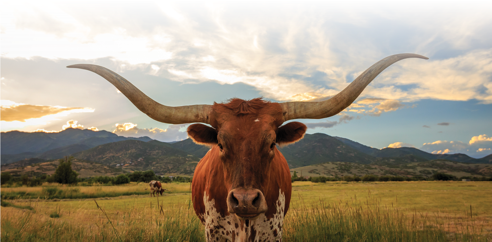 Humble Dentistry - Screen Lock Wallpaper Windows 10 Clipart (1602x822), Png Download