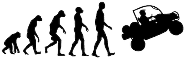 210 Evolution Homme Ssv Evolution Of Man Clipart Large Size Png Image Pikpng