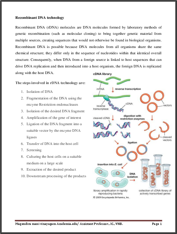 Pdf - Construction Of C Dna Library Clipart (612x792), Png Download