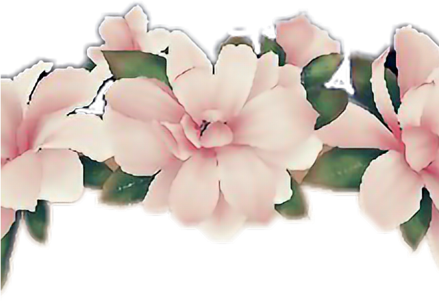 Snapchat Filters Clipart Pink Flower - Snapchat Filters Png Flower Crown Transparent Png (640x480), Png Download
