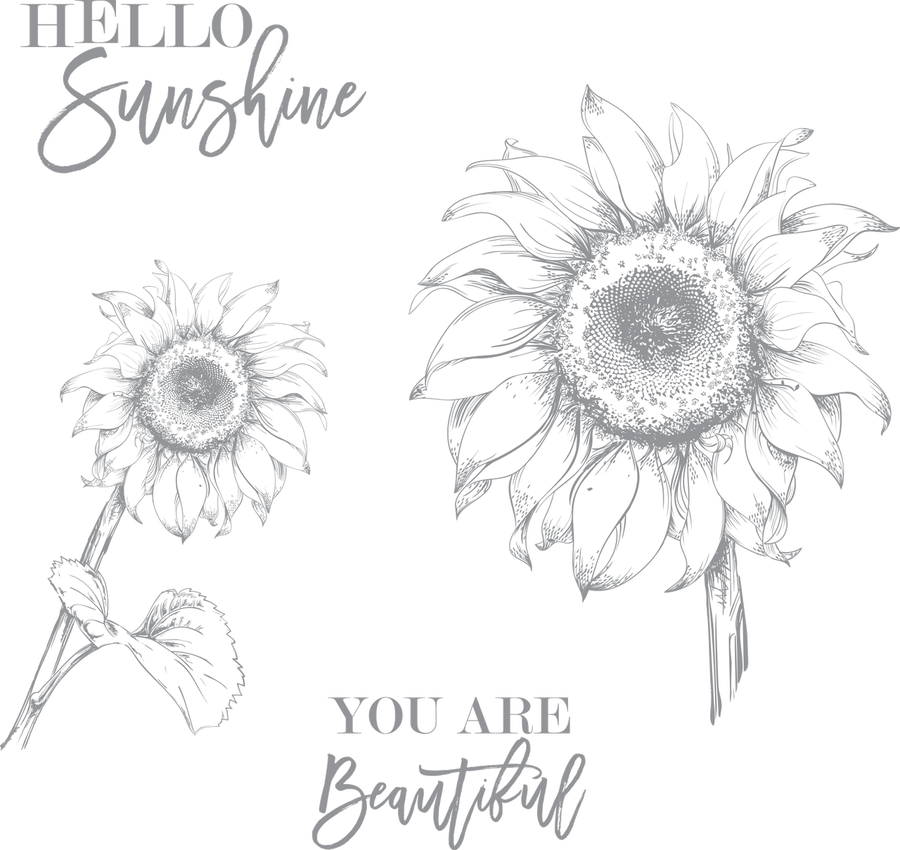 Shop - Sunflower Clipart (900x850), Png Download