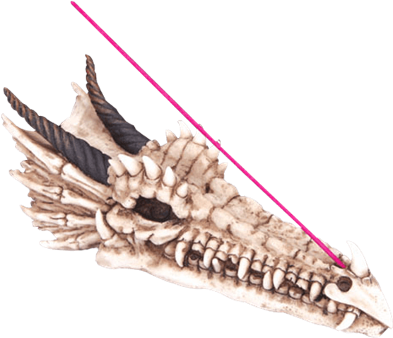 Price Match Policy - Dragon Skull Incense Holder Clipart (555x555), Png Download