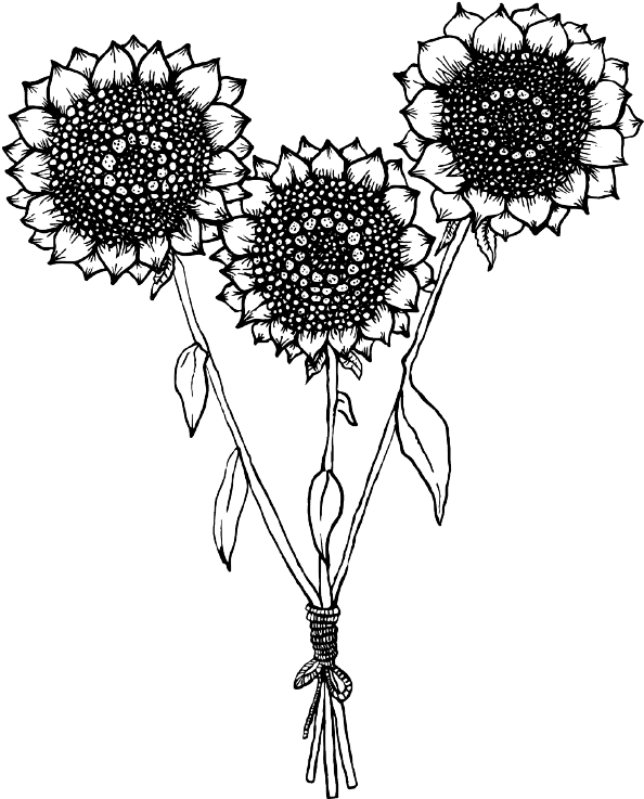 Shf Logo 2 B&w - Sunflower Clipart (640x854), Png Download