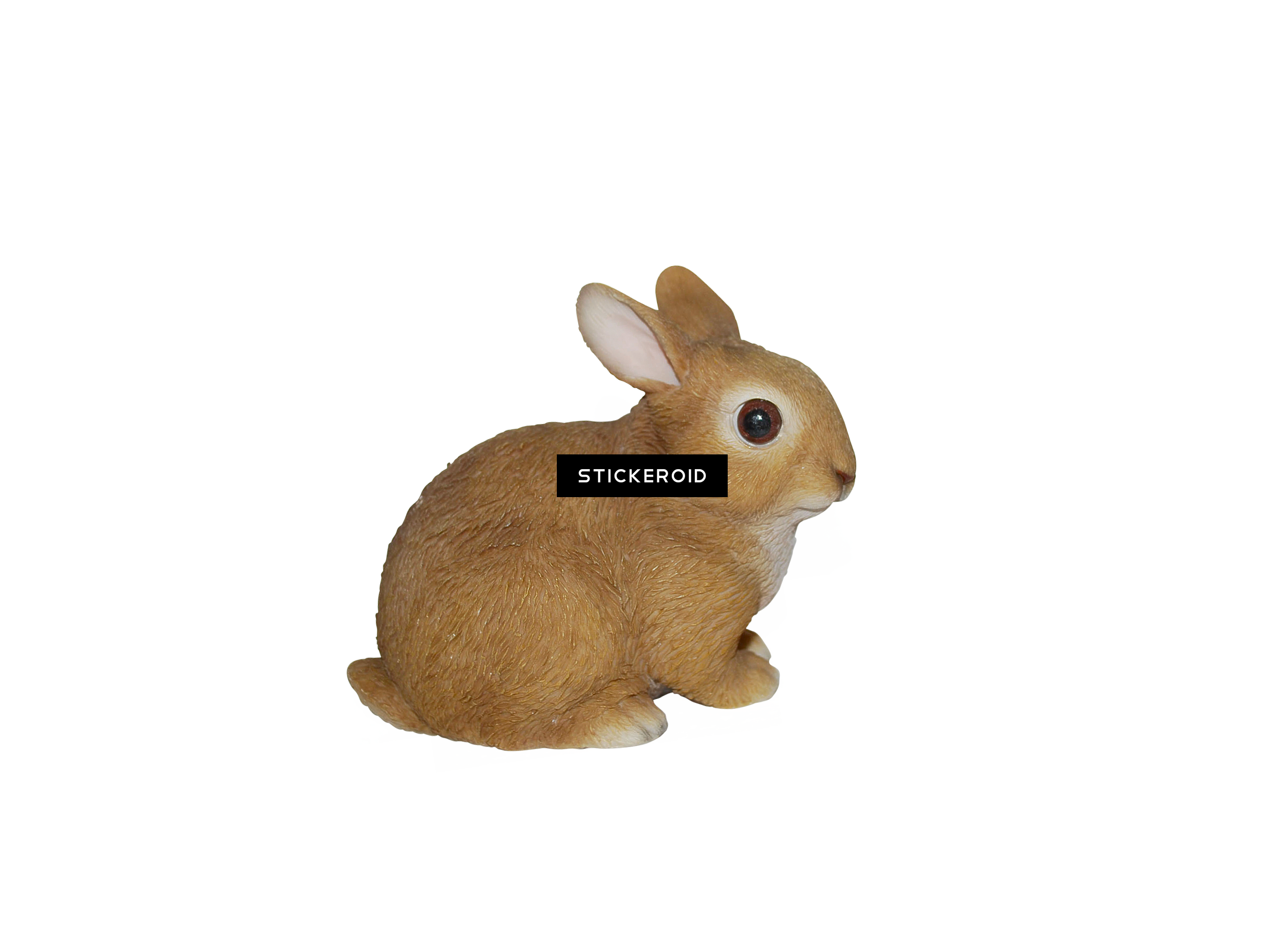 Bunny Rabbit Png - Domestic Rabbit Clipart (2707x2005), Png Download