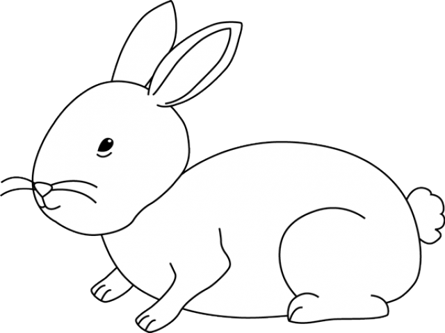 Bunny Rabbit Black And White Clipart - Png Download (640x480), Png Download