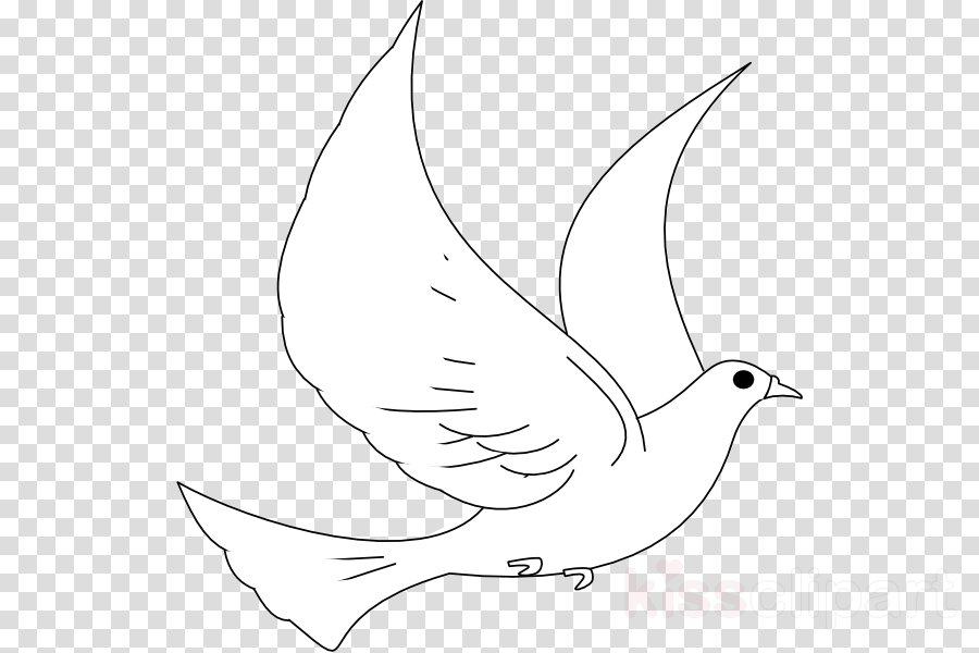 Bird, Turtle, Nose, Transparent Png Image Clipart Free - Round Gold Badge Png (900x600), Png Download