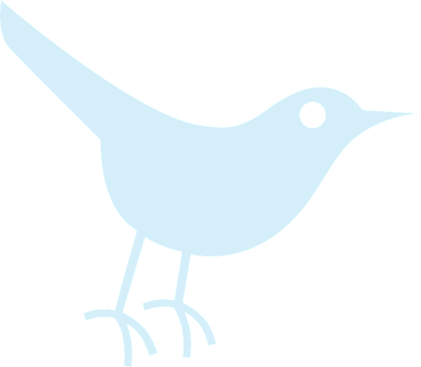 Clipart Bird Outline - Twitter Bird Icon - Png Download (825x720), Png Download